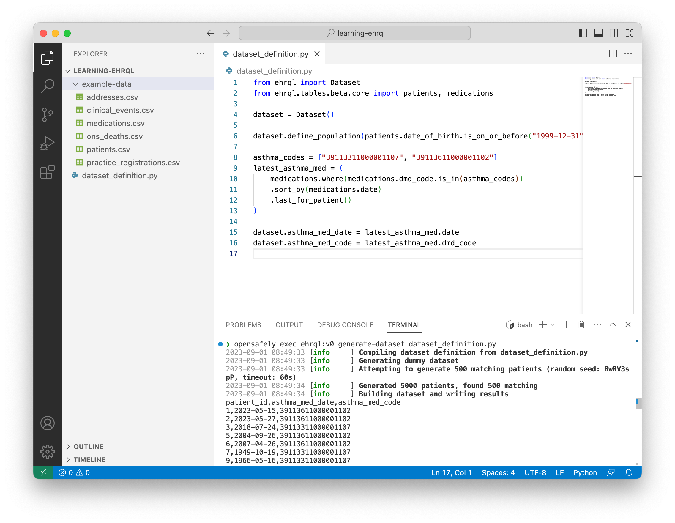 A screenshot of VS Code, showing the terminal after the opensafely exec command was run